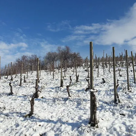 Monteguzzo 3* Cigognola